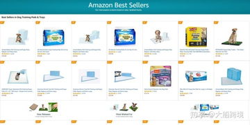 跨境电商如何精准选品与网络推广打造爆款