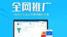 企业全网营销全攻略 借助互联网实现高效客户引流与网络推广